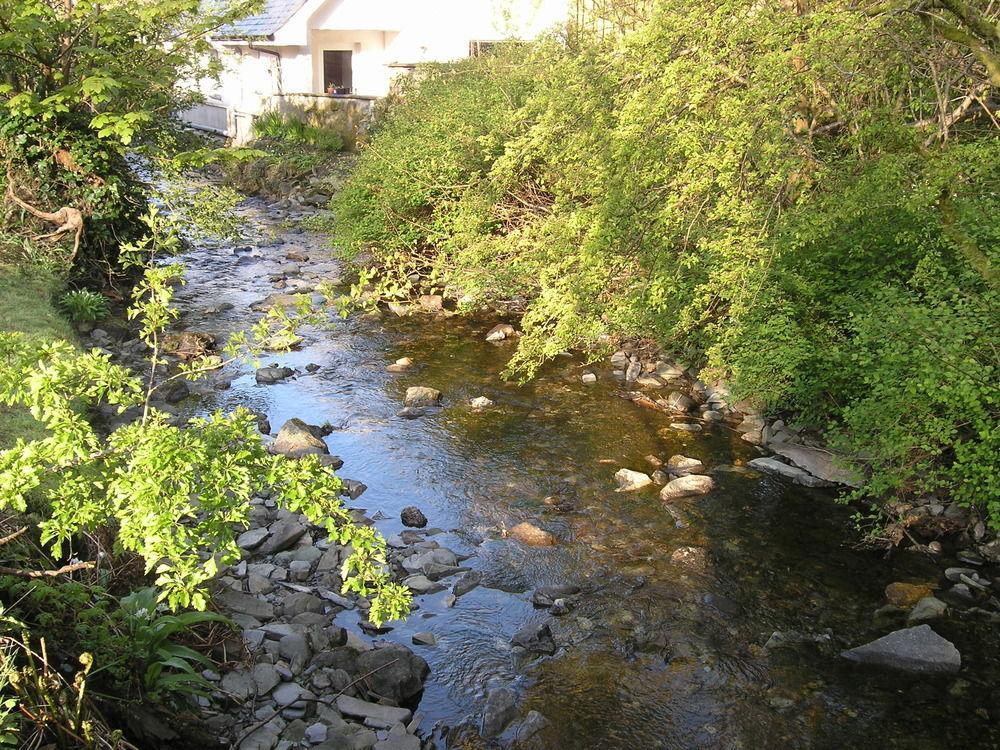 Whistlers Dell B&B Rhu Εξωτερικό φωτογραφία